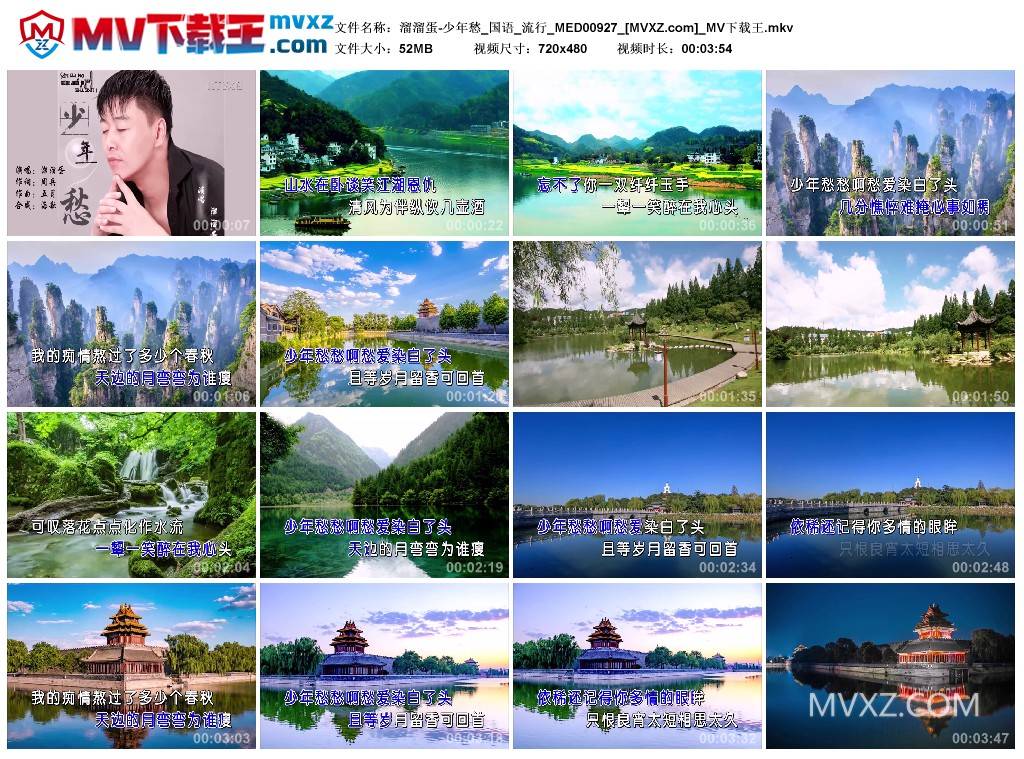 溜溜蛋-少年愁_国语_流行_MED00927